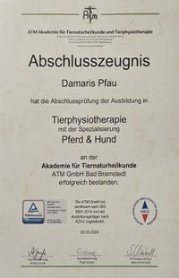 Abschlusszeugnis Damaris Pfau